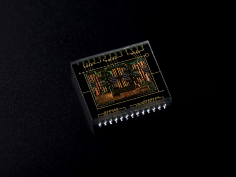 Canon EOS 7D - Autofokus-Sensor